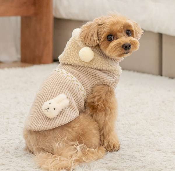 Hunde-Hoodie WILLOW - Beige