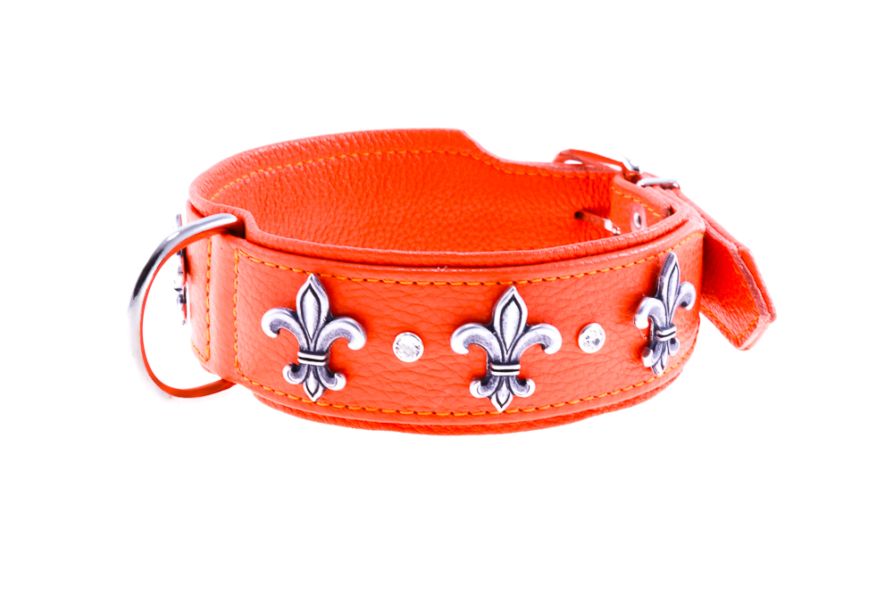Hundehalsband Luxus-Schlange-Leder-Halsband - DogsCastle