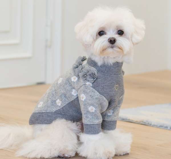 Hundepullover Lidia - Grey Melange